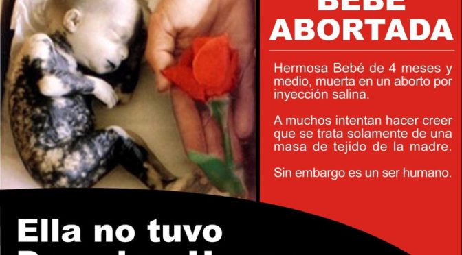 ACCIÓN PROVIDA URGENTE PR