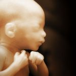 baby02_1200x630