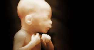 baby02_1200x630