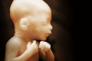 baby02_1200x630