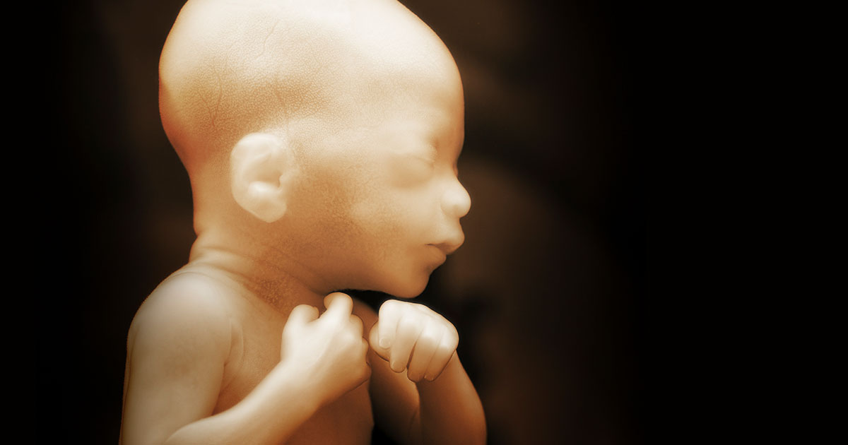 The Science of Fetal Pain